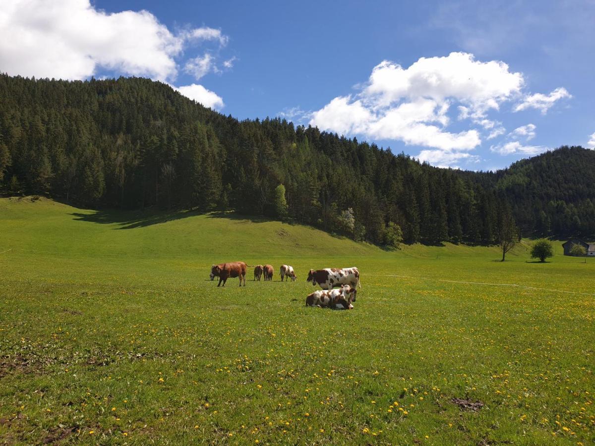 KernhofBauernhof Moar公寓 外观 照片